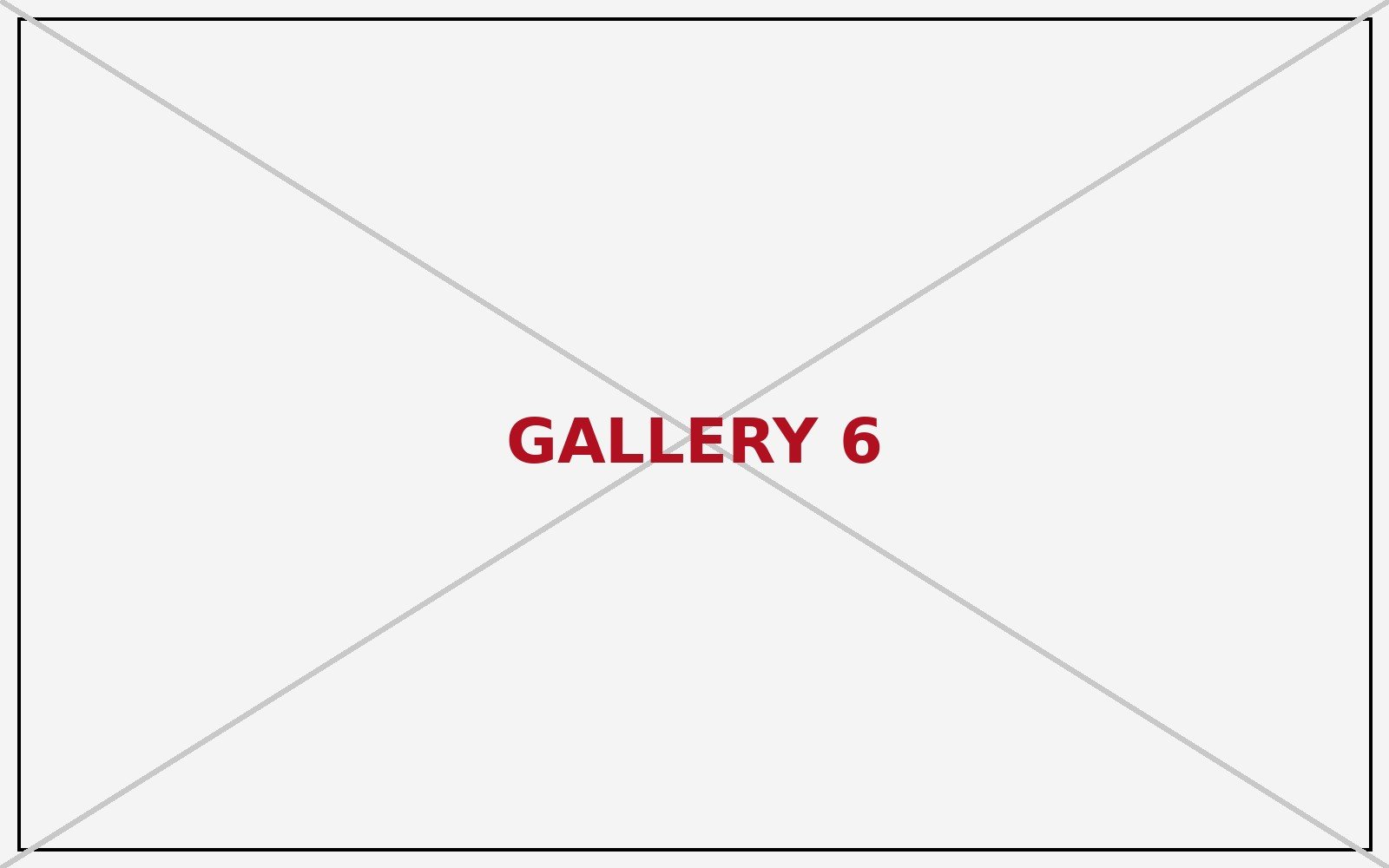 Gallery placeholder 6